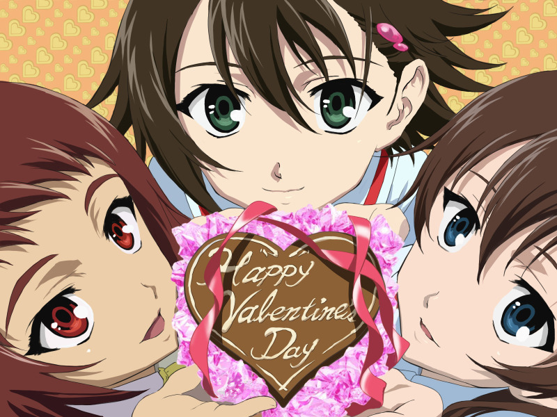 Anime-Happy-Valentines-Day-2012-800x600-wide-wallpapers.net