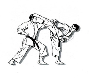 karate3