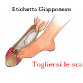 scarpe in GIappone